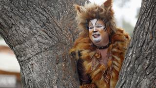 When a Tree Falls When a Tree Falls