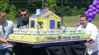 Cake Boss