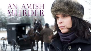 An Amish Murder