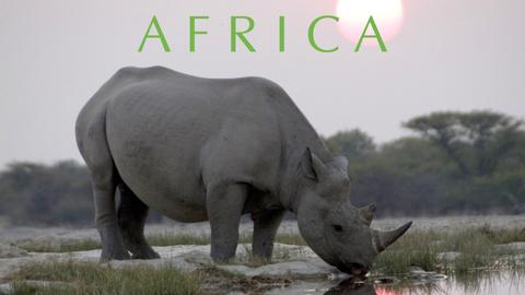 Africa