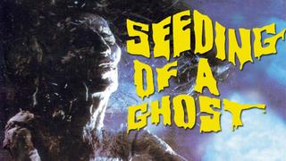 Seeding of a Ghost