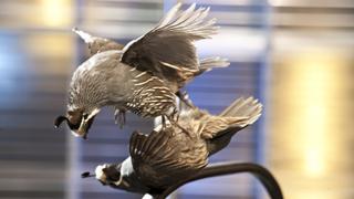 Love and War Love and War