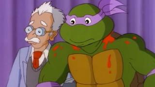 Turtles of the Jungle