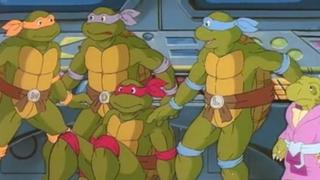 Return of the Turtleoid