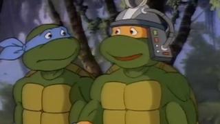 Teenage Mutant Ninja Turtles