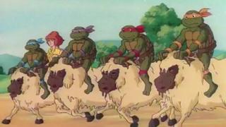 Teenage Mutant Ninja Turtles