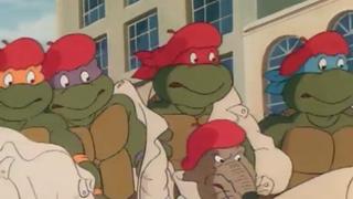 Turtles on the Orient Express Turtles on the Orient Express