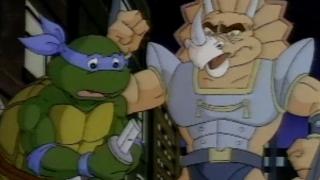 Night of the Dark Turtle