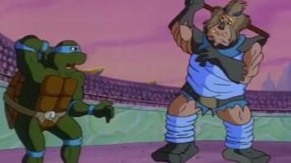 Teenage Mutant Ninja Turtles