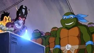 Turtles to the Second Power