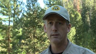 Operation Wildfire