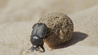 The Future The Future