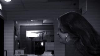 The Steve Wilkos Show