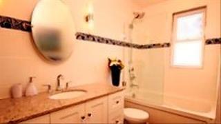 All Stack No Action All Stack No Action