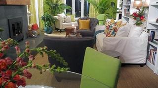 A Dismal Den Gets an Unusual Update