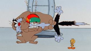 Fountain of Funk Fountain of Funk