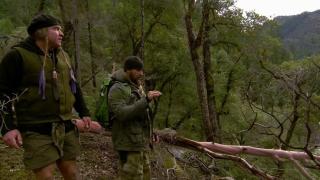 Dual Survival