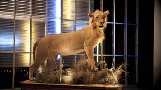 Heaven and Hell Heaven and Hell