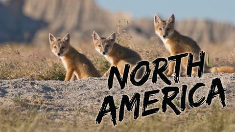 North America