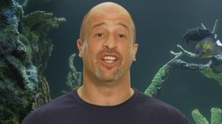 Tanked