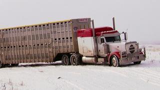 Turkey Truckin'