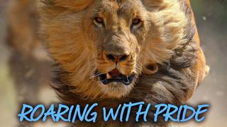 Roaring with Pride