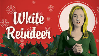 White Reindeer