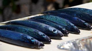 Undiscovered Hawaii