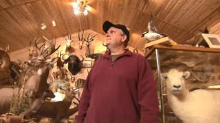 Troll Takeover & Stuffing Animals Troll Takeover & Stuffing Animals