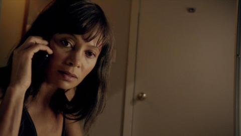 The Second Amendment