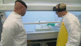 MythBusters