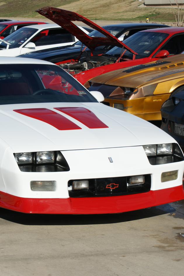 Dallas Car Sharks