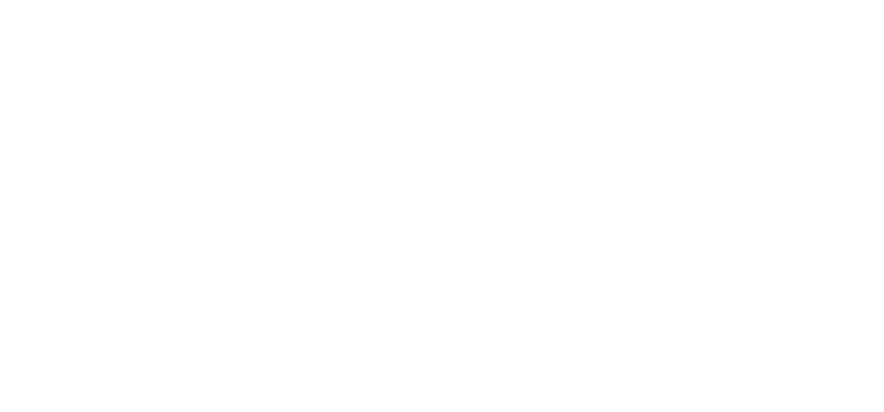 Order and Disorder show logo