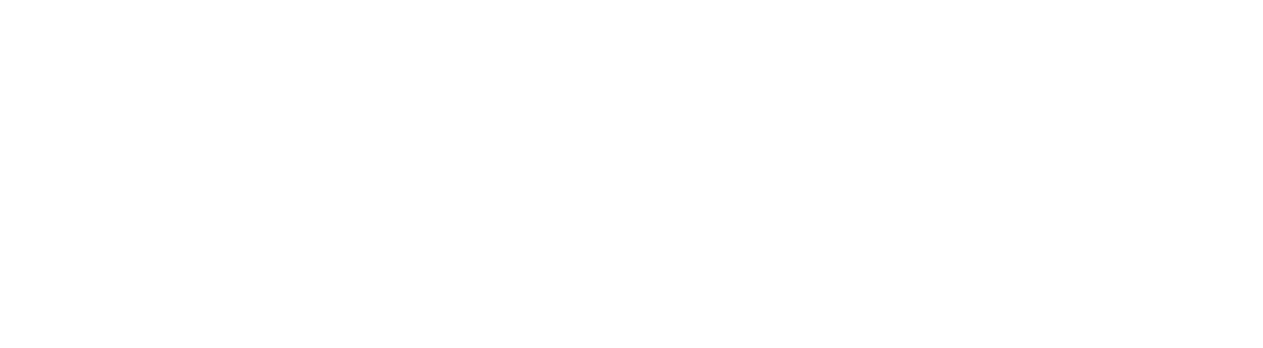 Terror in the Skies