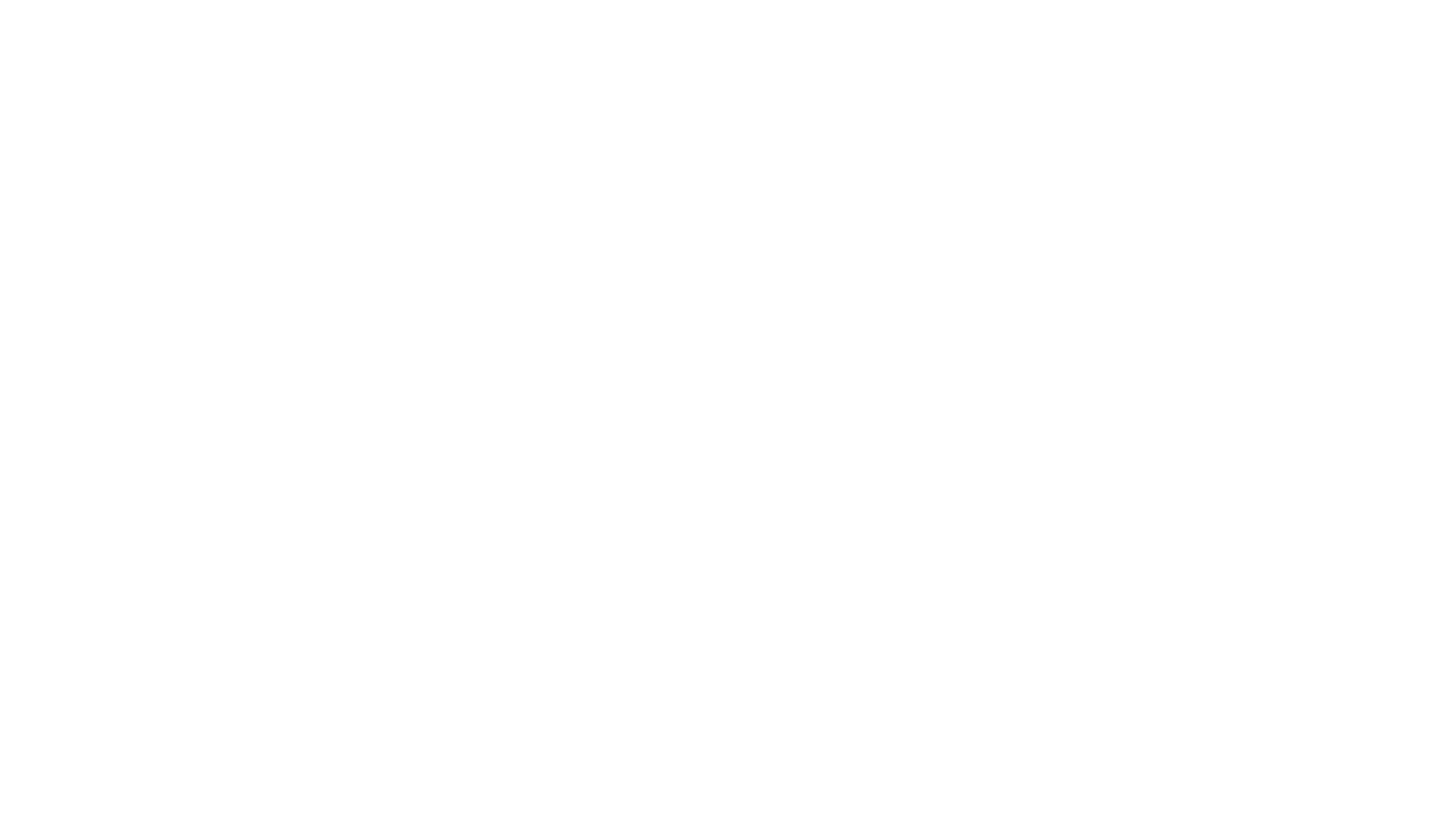 Sturgis Raw