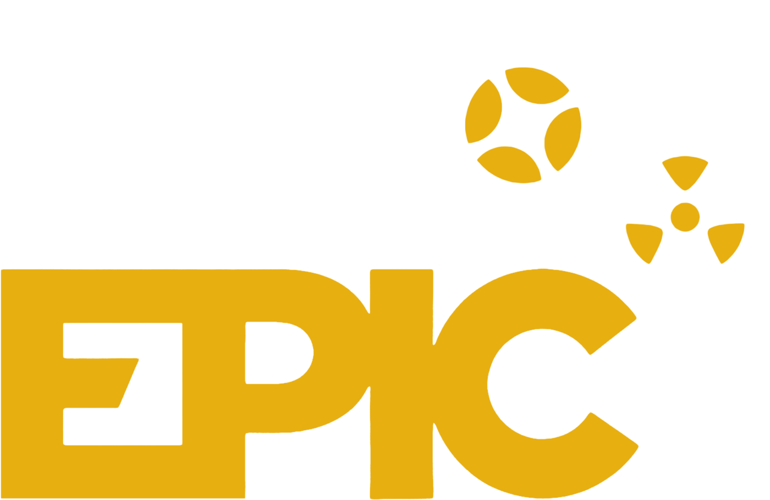 Cape Epic show logo