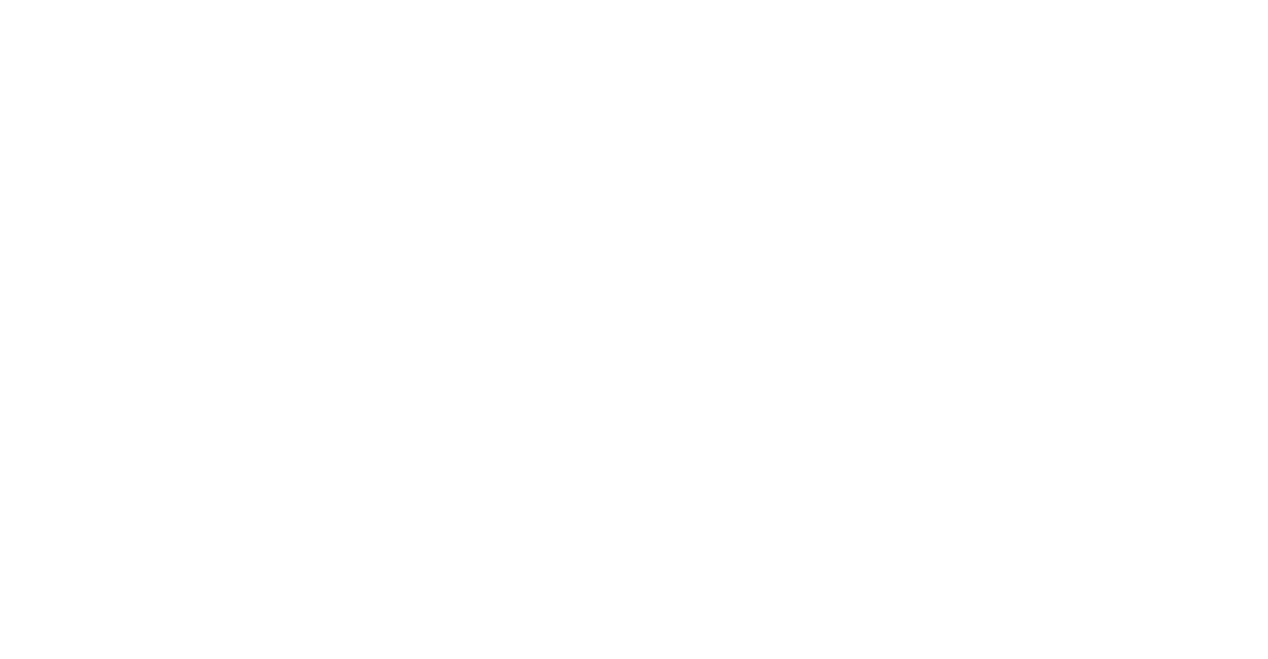 B.O.R.N. to Style show logo