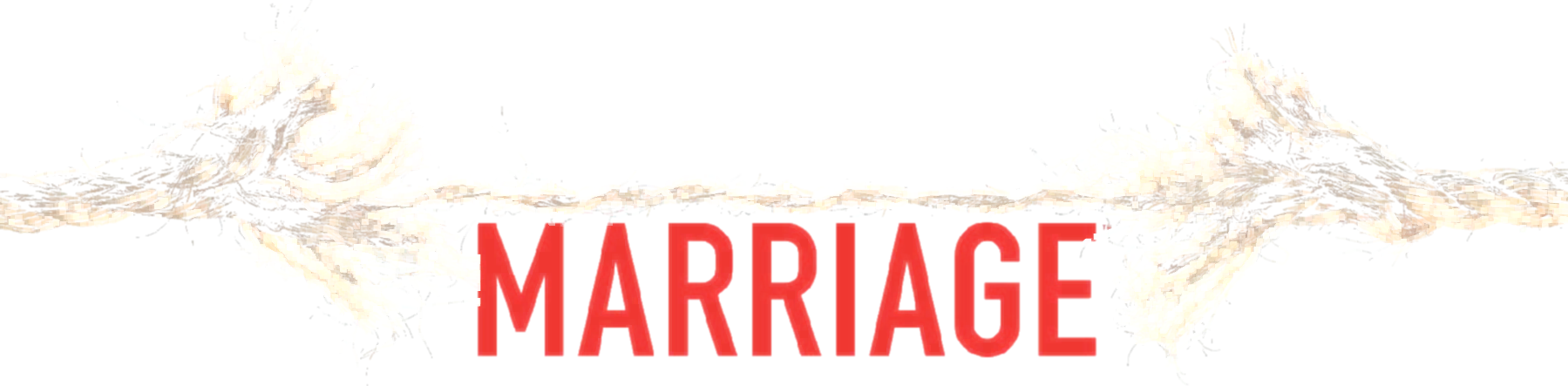Surviving Marriage show logo
