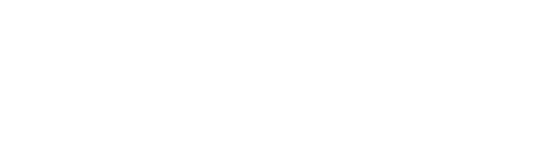Stone House Revival