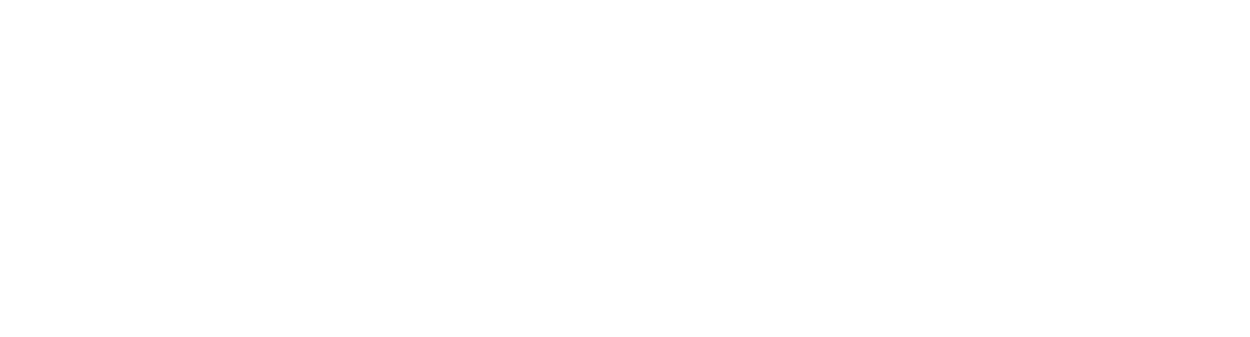Partners in Crime