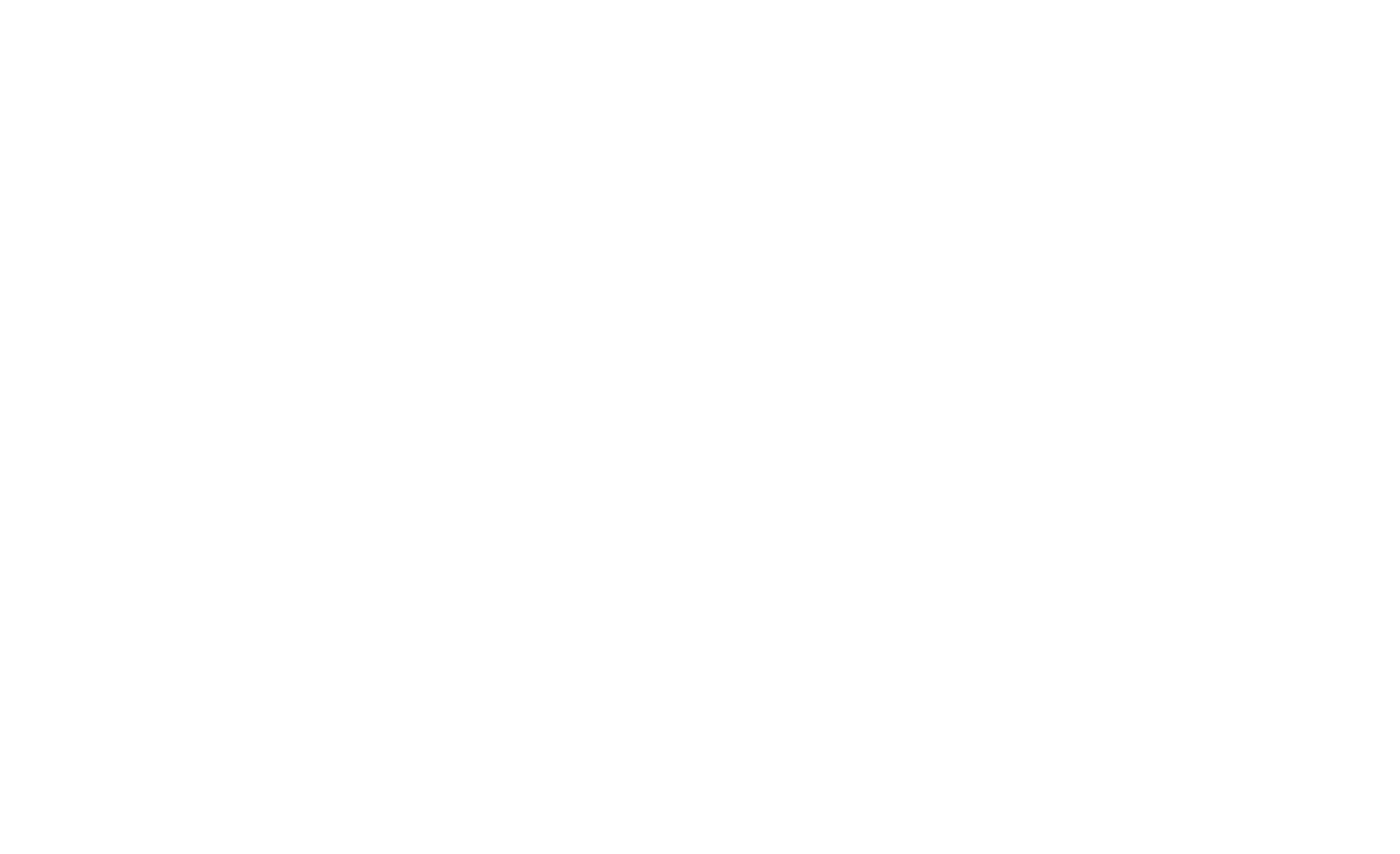 Wild Wild East show logo