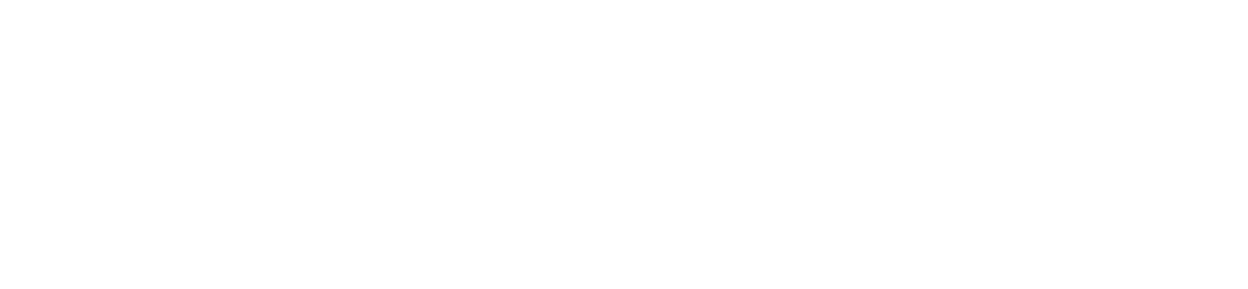 The White Princess