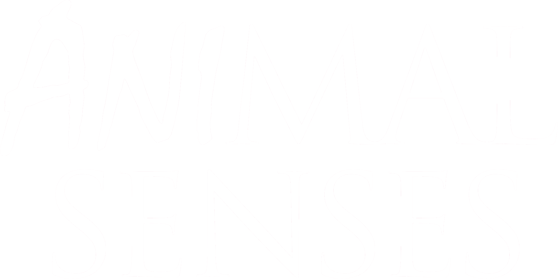 Animal Senses show logo