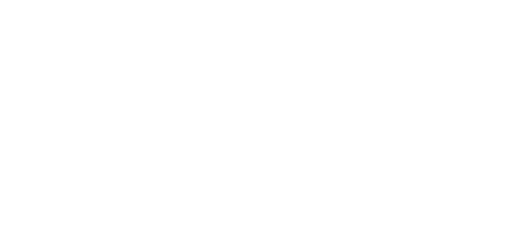 The Murder Castle