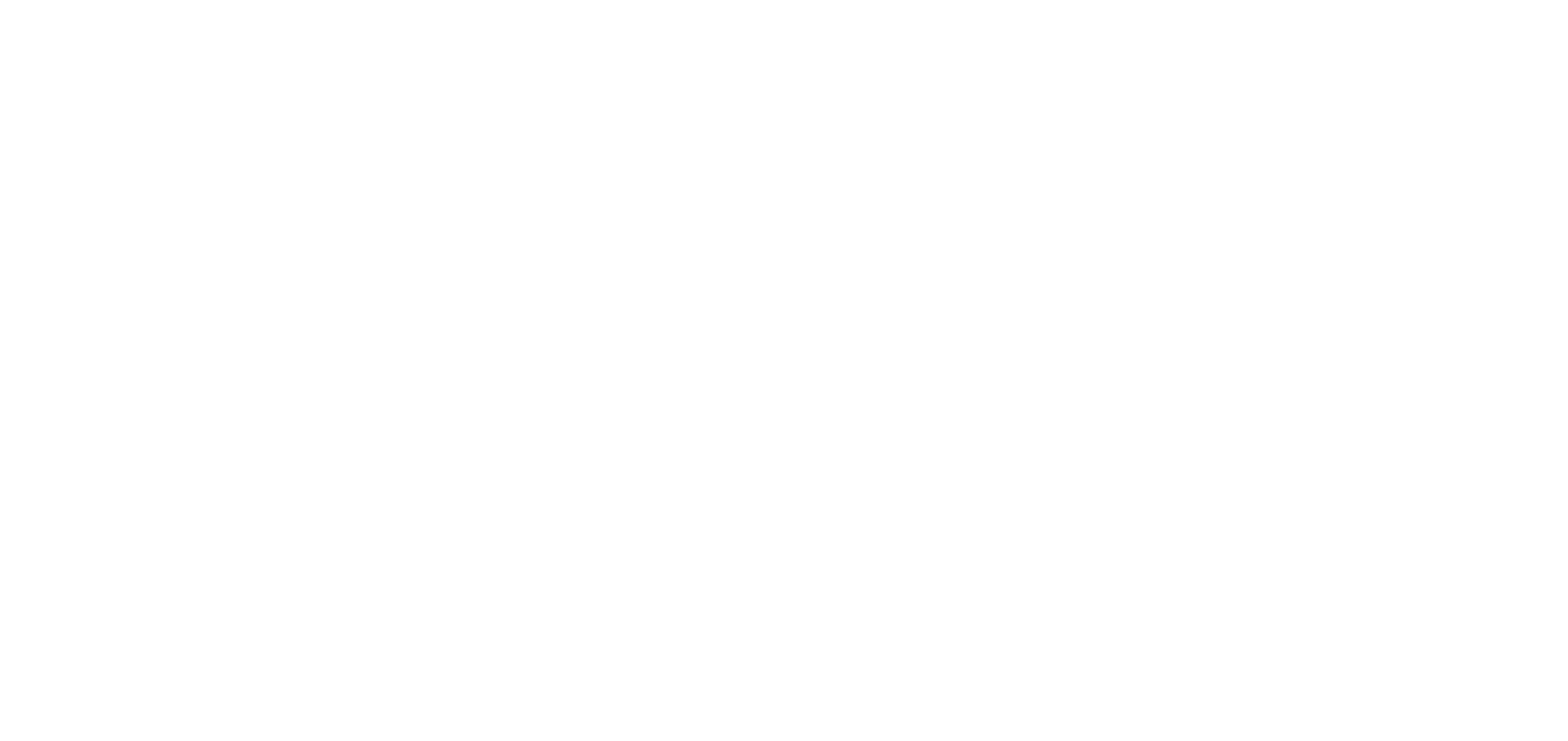 Twin Turbos