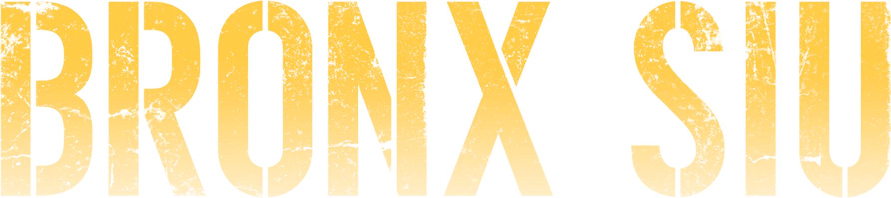 Bronx SIU