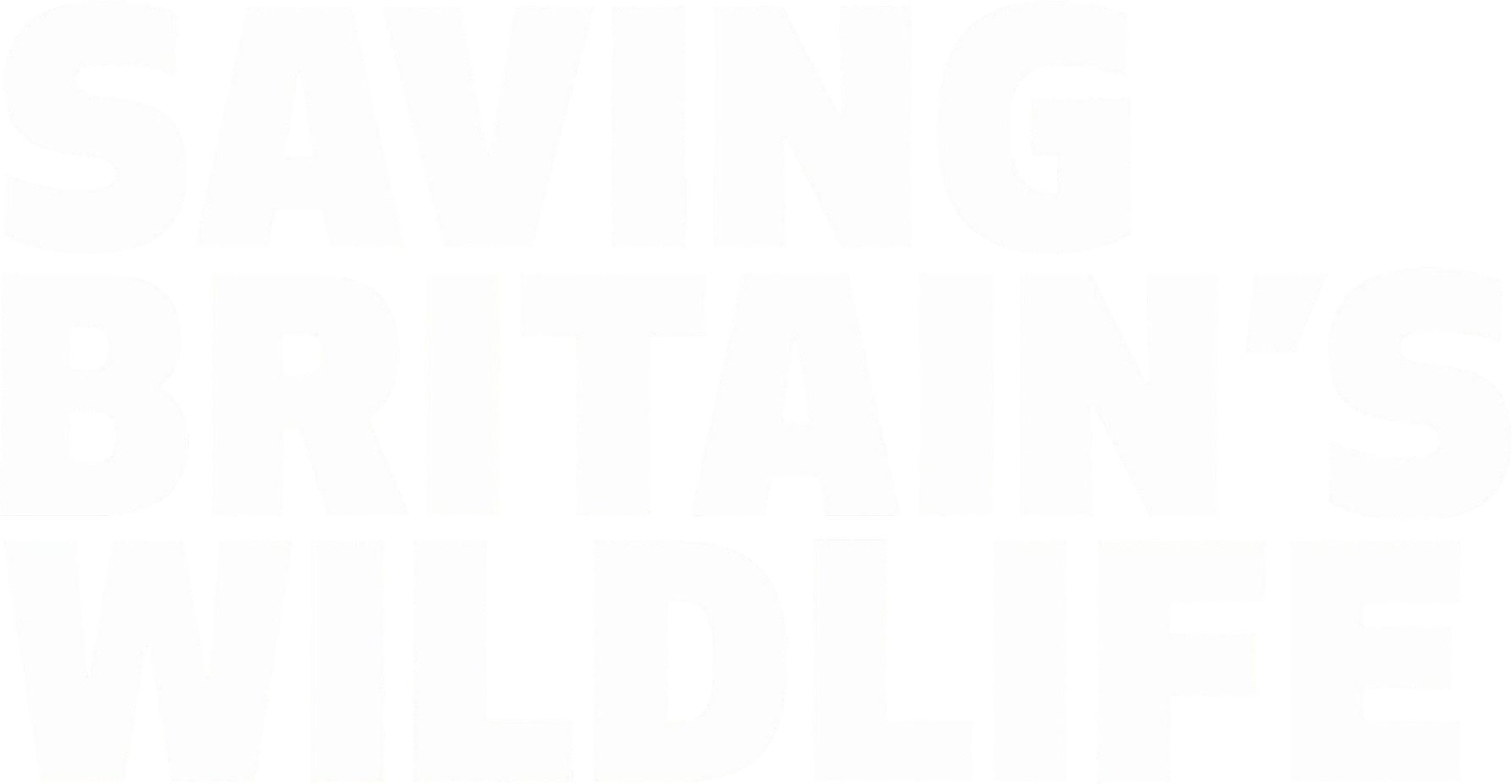 Saving Britain's Wildlife show logo