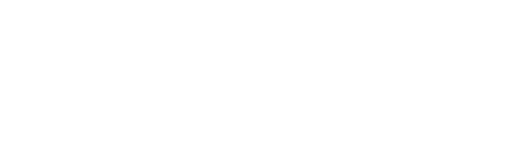 A Discovery of Witches