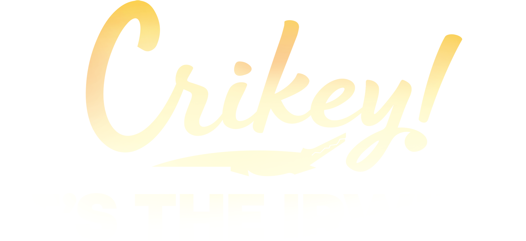 Crikey! It's the Irwins