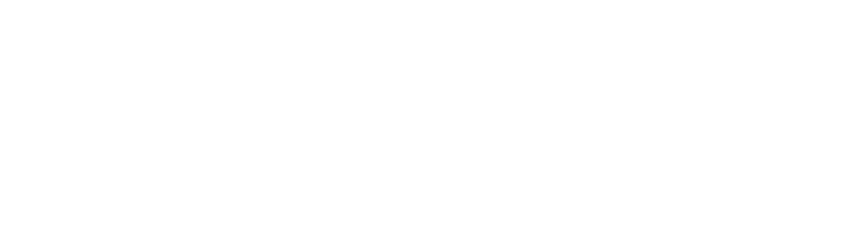 The Swim